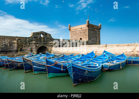 Une flotte de bateaux de pêche bleu entassés dans le port d'Essaouira au Maroc. Vous pouvez également voir les fortifications et une tour de la citadelle de Banque D'Images