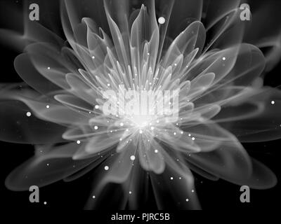 Fleur fractal lumineux noir et blanc, générée par ordinateur résumé fond, 3D Rendering Banque D'Images