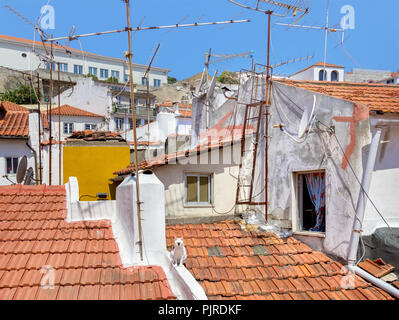 Un chat blanc est chauffée sur le toit d'une maison dans le vieux quartier d'Alfama. Lisbonne, Portugal Banque D'Images