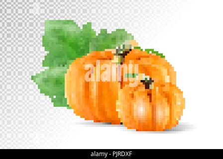 Définir avec les citrouilles légumes feuilles vert isolé sur fond transparent. Scénario réaliste, 3d illustration Illustration de Vecteur