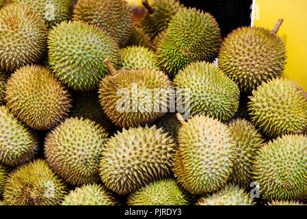 Durian fruit sur une pile au marché de fruits Banque D'Images