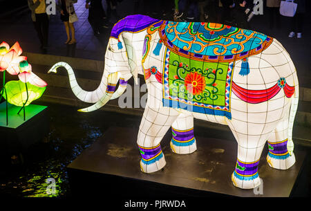 Décoration de lanterne colorée au ruisseau cheonggyecheon pendant le Lotus Lantern Festival à Séoul en Corée Banque D'Images