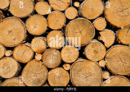 Grand mur décoratif à partir de grumes de bouleau recadrée. Banque D'Images