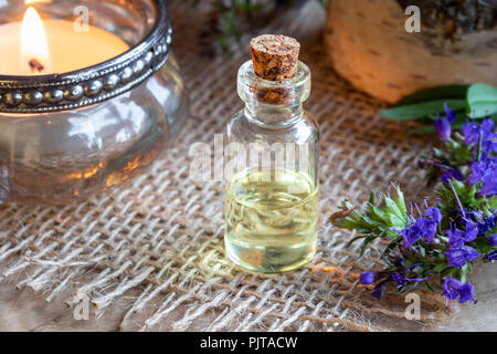 Une bouteille d'huile essentielle avec de l'hysope rameaux en fleurs Banque D'Images