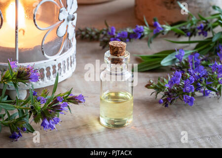 Une bouteille d'huile essentielle avec de l'hysope rameaux en fleurs Banque D'Images