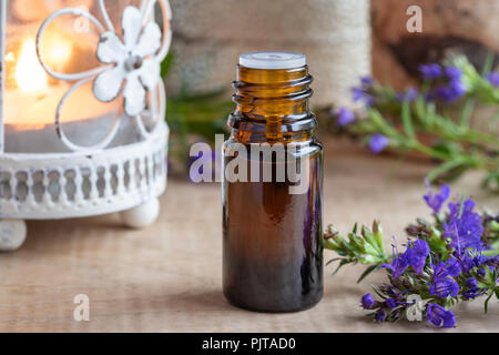 Une bouteille d'huile essentielle avec de l'hysope rameaux en fleurs Banque D'Images