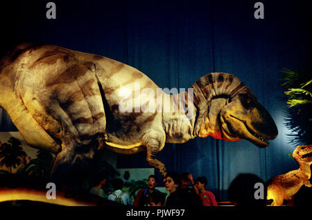 La galerie des dinosaures à l'intérieur de l'Institut Royal des Sciences Naturelles de Belgique à Bruxelles (Belgique, 05/1993) Banque D'Images