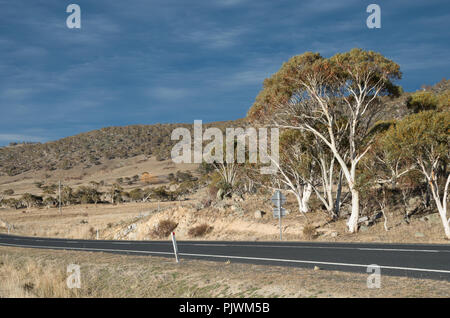 Australian bush contre un sombre ciel d'orage dans la région de montagnes de neige à côté de l'Alpine Way Banque D'Images