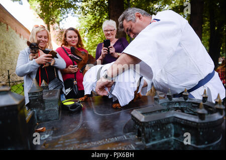 Cracovie, Pologne. Sep 9, 2018. Un homme vu son pansement Teckel pendant l'événement.la parade annuelle de teckel, au cours de cette parade annuelle des amoureux de chien et les propriétaires le long de mars avec leurs chiens habillés dans une large gamme de costumes. Credit : Omar Marques/SOPA Images/ZUMA/Alamy Fil Live News Banque D'Images