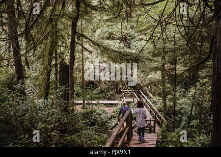 Père et fille la randonnée en forêt, Tofino, Canada Banque D'Images