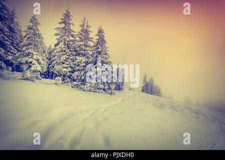 Hiver brouillard lever du soleil dans la forêt de la montagne. Style rétro. Banque D'Images