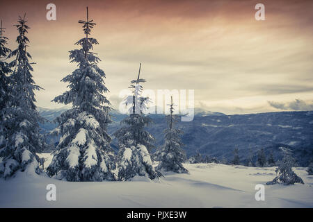 Hiver brouillard lever du soleil dans la forêt de la montagne. Style rétro. Banque D'Images