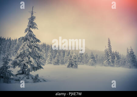 Hiver brouillard lever du soleil dans la forêt de la montagne. Style rétro. Banque D'Images