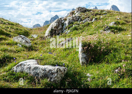 Chaînes de montagnes escarpées en tre Cima dans la région du Parc Naturel des Dolomites italiennes. Banque D'Images