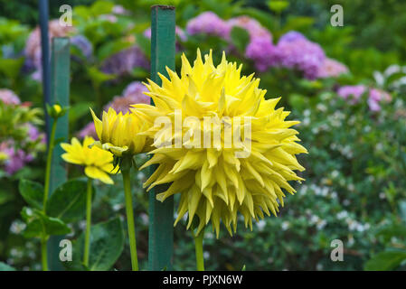 Les jardins Butchart , Brentwood Bay, British Columbia, Canada Banque D'Images