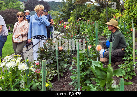 Chauffeur particulier à aider chapeau de paille les,les jardins Butchart , Brentwood Bay, British Columbia, Canada Banque D'Images