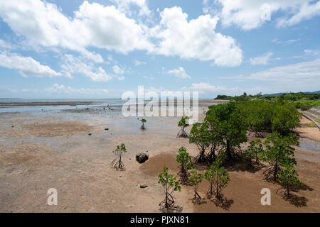 Landsape de Nagura Bay à marée basse à Ishigaki Île d'Okinawa, Japon. Banque D'Images