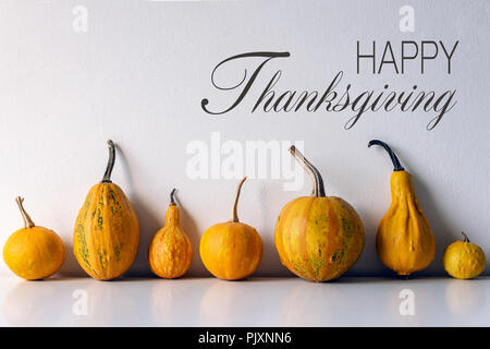 Maison de la récolte d'automne et la vie encore. Joyeux Thanksgiving Bannière. Sélection de diverses citrouilles sur fond de bois sombre. Les légumes d'automne et seaso Banque D'Images