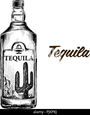 Bouteille de tequila avec de la chaux et de verre peint à la main. Illustration de Vecteur