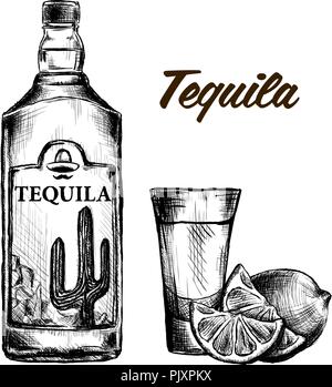 Bouteille de tequila avec de la chaux et de verre peint à la main. Illustration de Vecteur