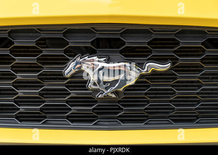 Logo voiture Ford Mustang et grill Banque D'Images