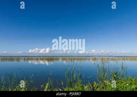 Lac Apopka Floride Horizon Banque D'Images