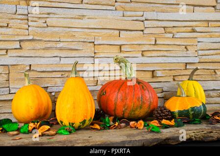 L'automne est à venir avec des citrouilles, des briques et du contexte. Banque D'Images