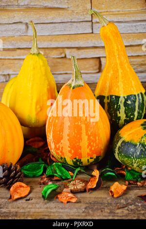 L'automne est à venir avec des citrouilles, des briques et du contexte. Banque D'Images