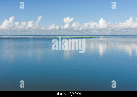 Lac Apopka Floride Horizon Banque D'Images