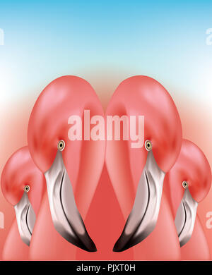 Belle de flamants roses Banque D'Images