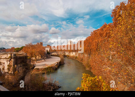 L'automne et le feuillage à Rome. Les feuilles rouges et jaunes près de l'île du Tibre à l'ancien pont romain, dans le centre historique de la ville Banque D'Images