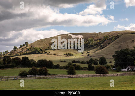 Westbury White Horse, Westbury, Wiltshire, Angleterre, Royaume-Uni Banque D'Images