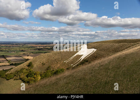 Westbury White, Horse, Westbury, Wiltshire, Angleterre, Royaume-Uni Banque D'Images