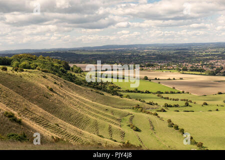 Voir d'terracettes de Westbury White Horse, Westbury, Wiltshire, England, UK Banque D'Images