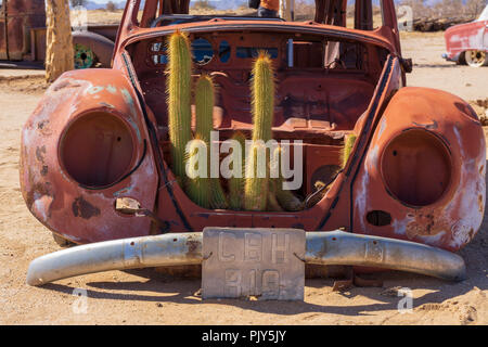 Voiture cactus désert vieille rouille de l'été Banque D'Images