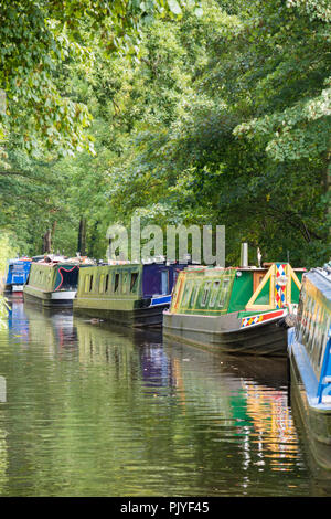 Colourfull narrowboats amarré sur le canal de Llangollen près de Llangollen, Wales, UK Banque D'Images