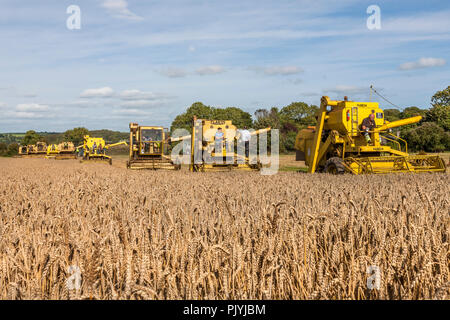 Tour du lac, Cork, Irlande. 9 Septembre 2018.neuf moissonneuses batteuses couper un fiel de blé à l'Ouest de Cork Vintage labourer et battage qui a eu lieu à Barryshall Co.Cork Timoleague. Crédit : David Creedon/Alamy Live News Banque D'Images