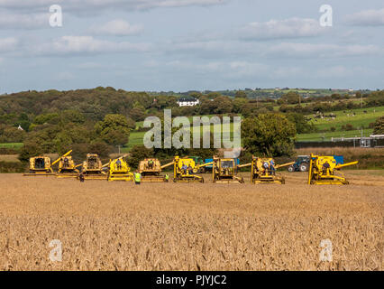 Tour du lac, Cork, Irlande. 9 Septembre 2018.neuf moissonneuses batteuses couper un fiel de blé à l'Ouest de Cork Vintage labourer et battage qui a eu lieu à Barryshall Co.Cork Timoleague. Crédit : David Creedon/Alamy Live News Banque D'Images