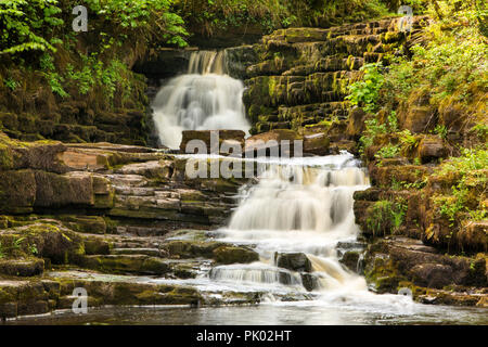 L'Irlande, Co Leitrim Ballinamore, Aughnasheelin Corramartin, sondage, une cascade sur la Rivière Jaune Eas Banque D'Images