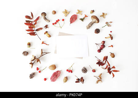 Jardin botanique de style automne arrangement. Carte vierge immersive scène. Composition de champignons, pommes de pin, de faines, de feuilles séchées et colorées rowan berries. Arrière-plan du tableau blanc. Fall frame, télévision lay Banque D'Images