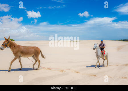 Lençois Maranhenses, Brésil - 4 mai 2018 - Un montant un cheval au parc national Lençois Maranhenses au Brésil Banque D'Images