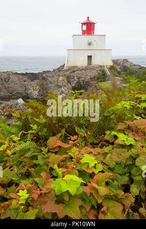 Phare de Amphitrite Amphitrite Point, Parc, sentier Wild Pacific, Ucluelet (Colombie-Britannique), Canada Banque D'Images