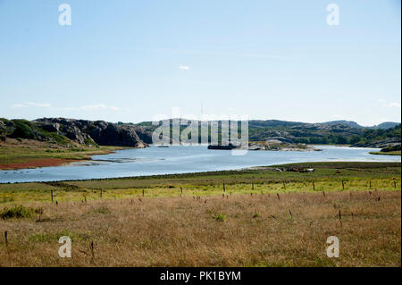 La nature en Suède. Banque D'Images