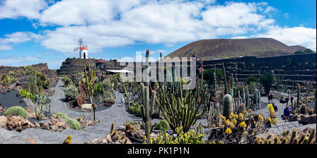 Panorama du Jardín de cactus (catus) Jardin, Lanzarote, Espagne. Créé par César Manrique Banque D'Images