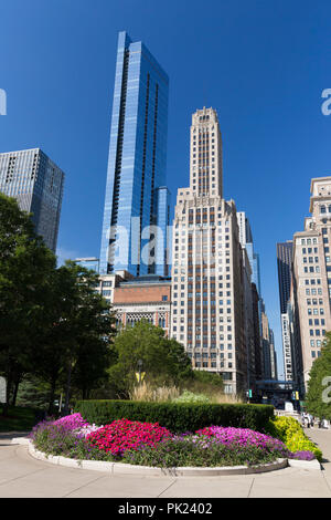 Fleurs d'été en fleurs, Millennium Park, centre-ville de Chicago, Illinois, États-Unis Banque D'Images