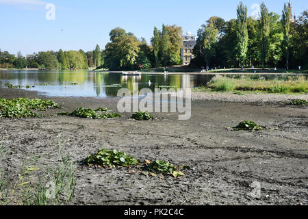 Woerlitz, Allemagne. 09Th Nov, 2018. 09.09.2018, la Saxe-Anhalt, Wörlitz : Dans le jardin 5 Royaume, gondoles avec les visiteurs peuvent voyager sur une partie du lac 5. La sécheresse, qui a duré pendant des mois, a drainé la quasi-totalité du vaste réseau de canaux dans le jardin 5 Royaume, Site du patrimoine mondial de l'UNESCO. Le parc paysager entre Dessau-RoDessau et Wittenberg a été aménagé au xviiie siècle par le Prince Léopold III Friedrich Franz von Anhalt-Dessau et est l'un des plus beaux parcs d'Europe. Credit : Waltraud Grubitzsch/dpa-Zentralbild/dpa/Alamy Live News Banque D'Images