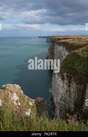 Les impressionnantes falaises de Bempton à près de Bridlington vu de la RSPB sanctaury Banque D'Images