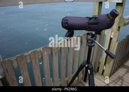 L'observation des oiseaux de mer RSPB Station à Bempton Cliffs sur la côte Est près de Bridlington Banque D'Images