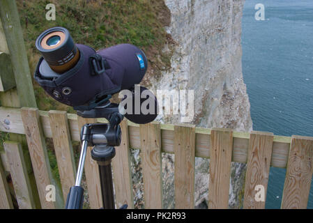 Regarder les oiseaux qui nichent dans les falaises de Bempton RSPB de la station de visualisation près de Bridlington Yorkshire du Nord Banque D'Images