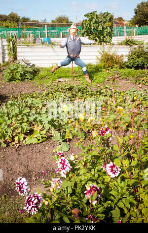 Jardin sur un allotissement de l'Épouvantail Banque D'Images